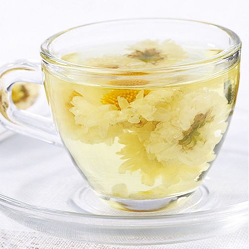 樟树市三皇中药材 批发菊花茶 干菊花 正品杭白菊 新货杭菊.