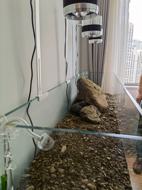 180cm大缸做个美美的溪流石造景