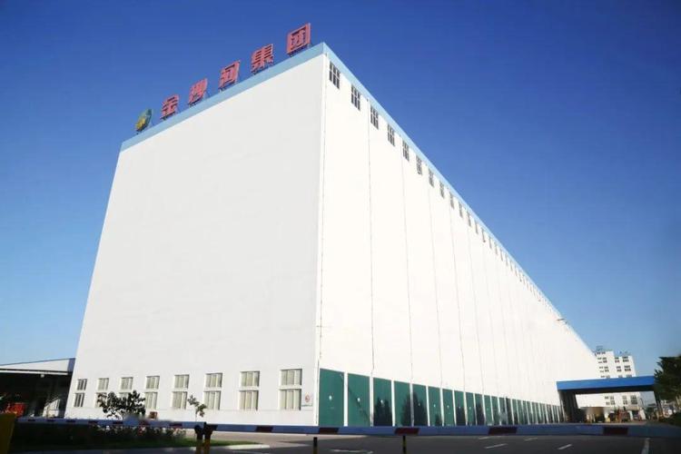 有一种未来可期,叫我在金沙河!