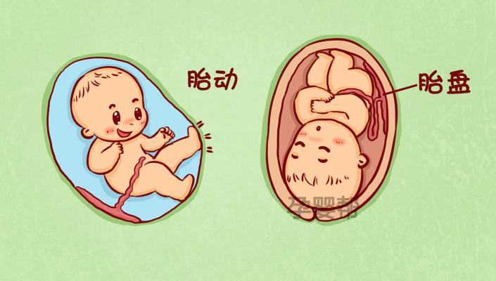 b超单看男女1分钟教你看懂b超检查单