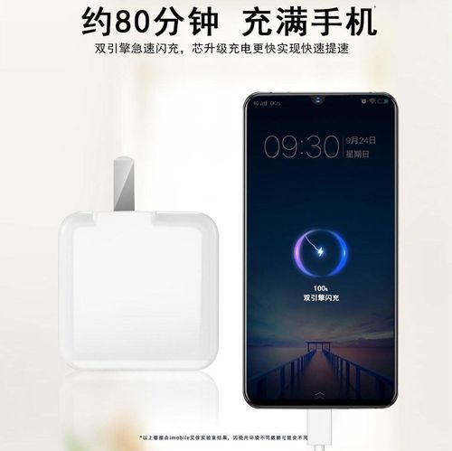 vivos6原装充电器,vivos6原装充电器型号 *适用vivos6手机充电器头vivos6原装快充数据线18w双