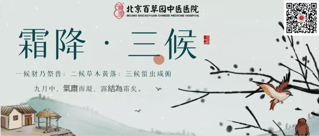霜降养生需要注意什么都为您总结在这里了