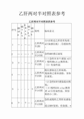 乙肝两对半对照表参考.doc 7页