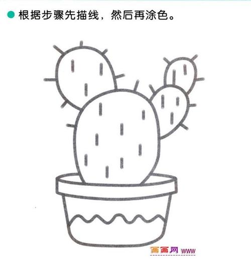 儿童简笔画:四步画仙人掌图解教程