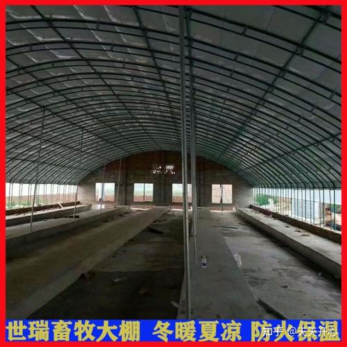 搭建养牛大棚养牛棚建设钢架养牛大棚安装包工包料