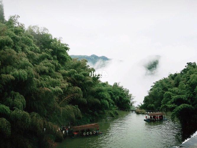 蜀南竹海97_旅游_风景_出行_景点