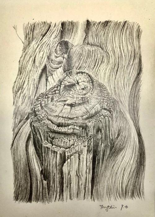 专题树当我尝试努力的时候希望你能站在我身边