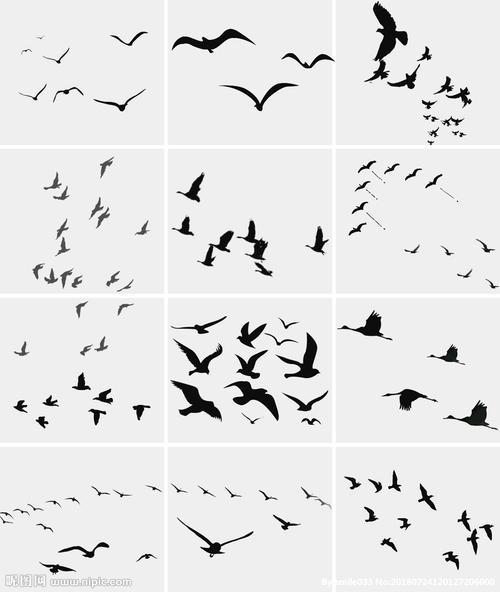 大雁雄鹰飞翔psd素材图片