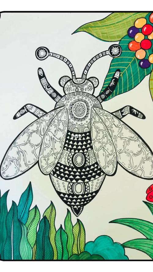 线描画昆虫_绘画_文化_绘画