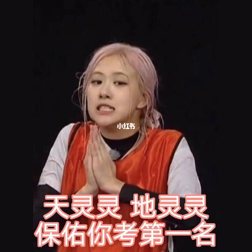 朴彩英表情包_表情包_朴彩英_素材_表情包