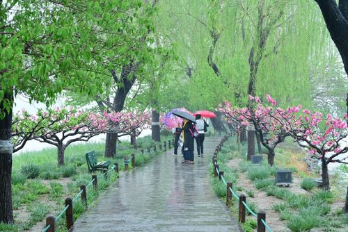 春雨颐和园
