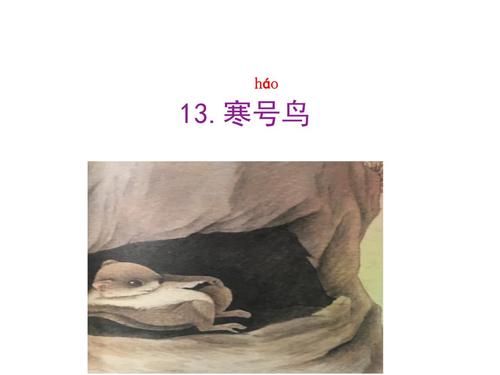 13.寒号鸟故事讲解.ppt 19页