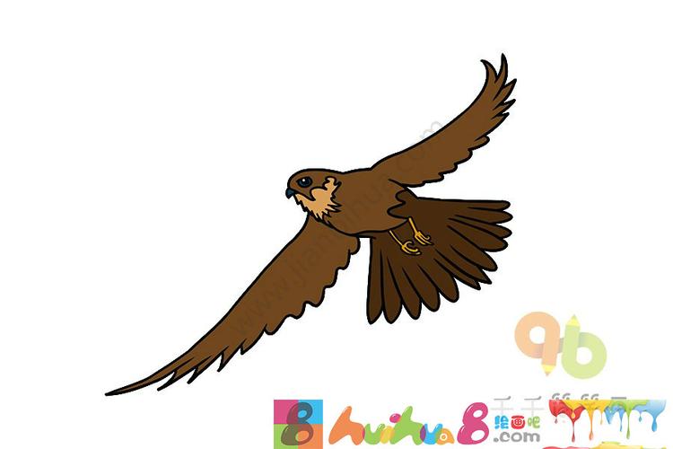 燕隼简笔画图片