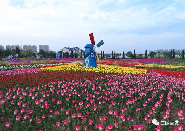 兰陵这2个地方入选市级"最美小镇,最美村居(社区)