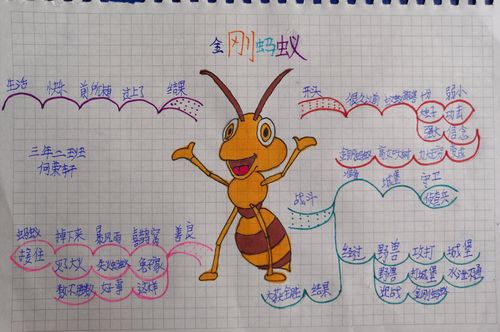 思维导图 翰墨小学 三年二班 何荣轩