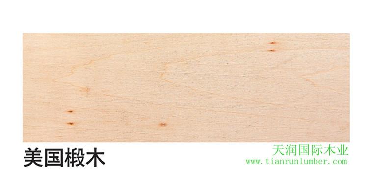 美国椴木basswood