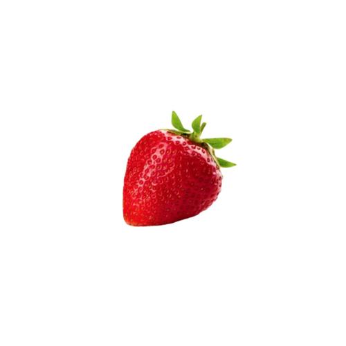 白底头像