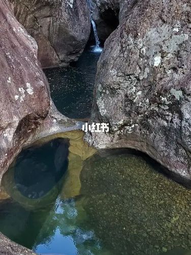 文成县旅游介绍(铜铃山)(龙麒源)_旅行_森林_景点__龙