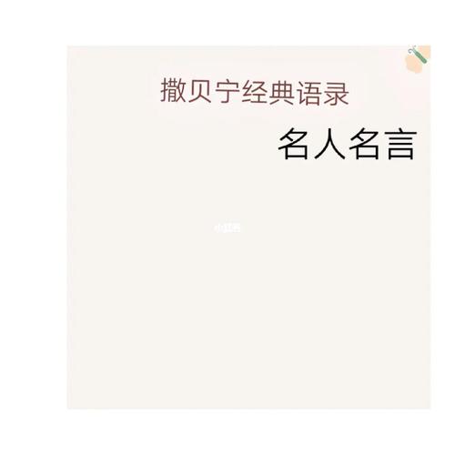 撒贝宁经典语录_语录_撒贝宁_名人名言_素材_文字素材