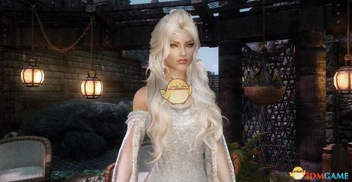 上古卷轴5天际aredhel高阶精灵女性随从mod