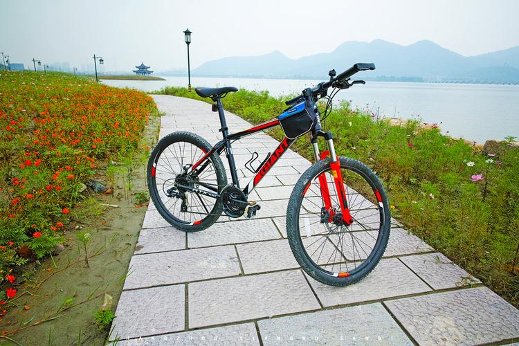 一到这里就想骑自行车,超想!