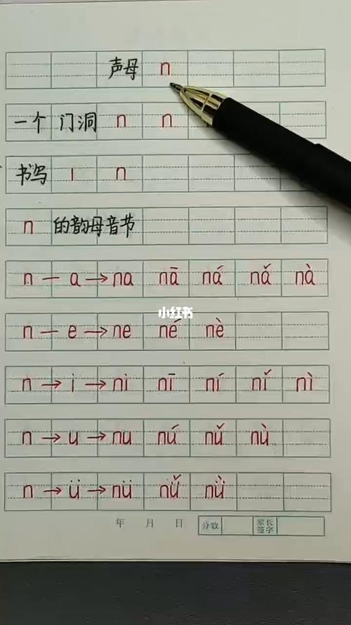 幼升小拼音基础,声母n书写拼读练习_拼音_教育_学前