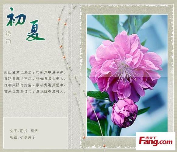 初夏绝句 -听海的日子 -搜房博客