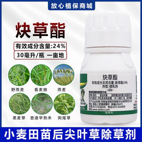 24炔草酯脂小麦田苗后专用除草剂野燕麦看麦娘禾本科麦田除草剂