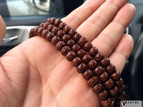 玩了一条两年多的小金刚