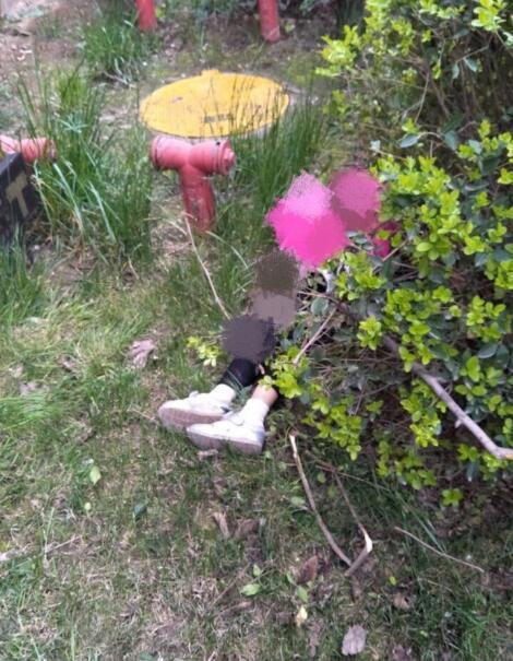 西安一小女孩不幸从21楼坠楼身亡