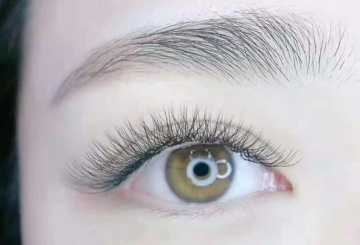 有没有宝宝种过三叶草型的睫毛呀