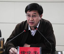 徐晓平(中国科学院数学研究所博士生导师)