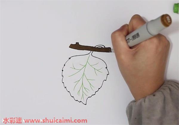 桑叶怎么画桑叶简笔画步骤图
