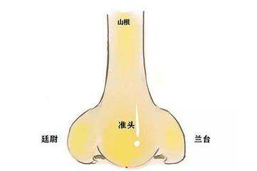 鼻子丰满鼻子在面相中代表的是一个人的福气与财运等,若是鼻子有肉