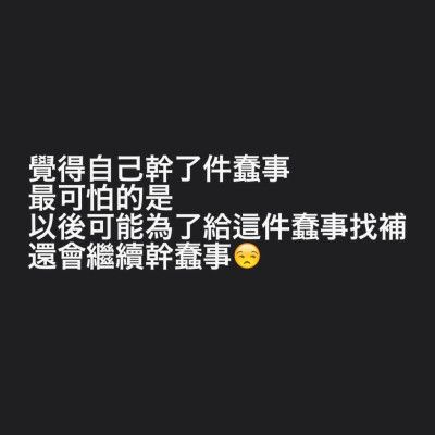 蠢事