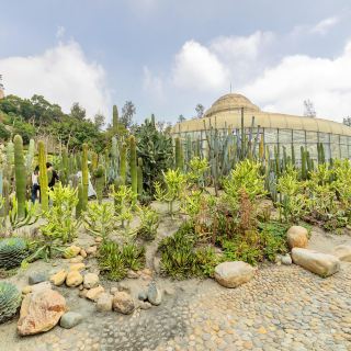 厦门大学植物园