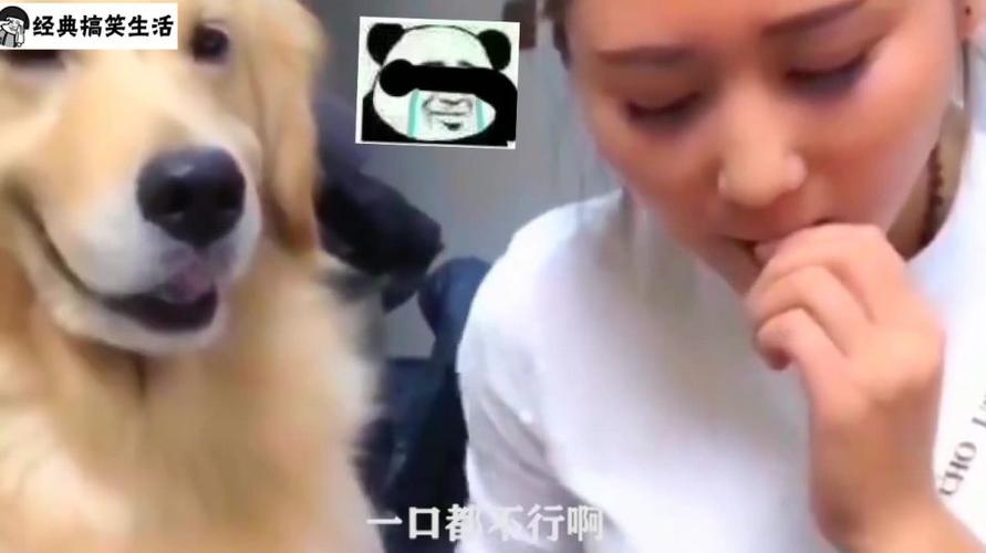 你可真是煮熟的鸭子嘴硬,虽然水不深,但还是让你栽到坑里了