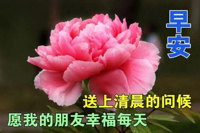 2021年12月13日清晨早上好问候祝福动态表情图片最新早安问候祝福图片