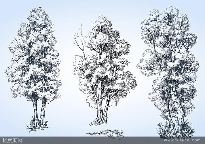 关键词:素描手绘插画风景黑白植物树木大树矢量素材