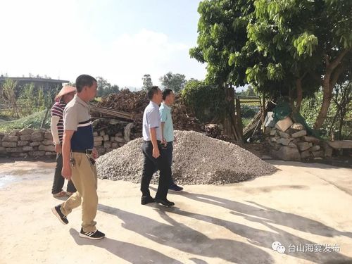 来源:海宴镇党政办,台山海宴发布