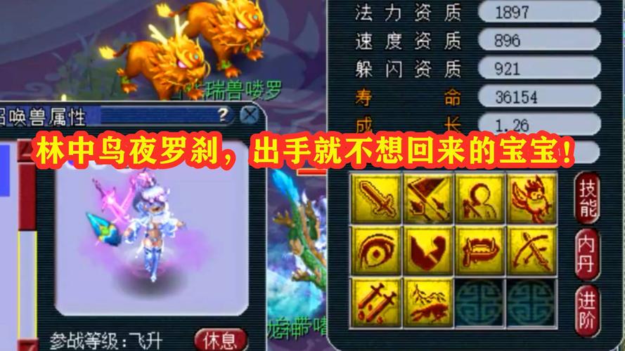 梦幻西游:又是一只出手就不想回来的宝宝,林中鸟夜罗刹带剑荡套