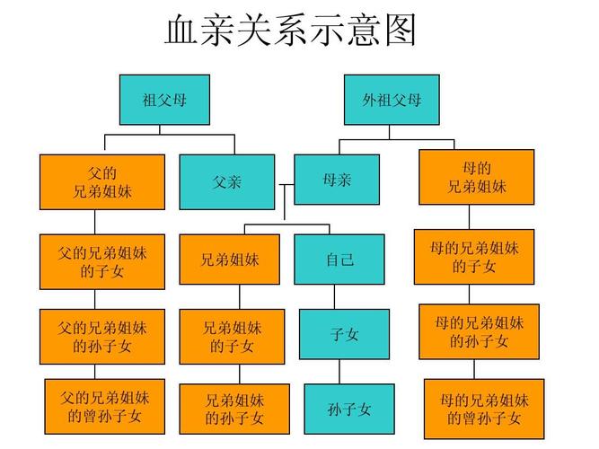 血亲关系示意图ppt
