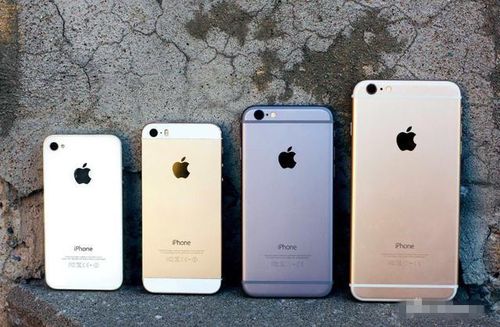 疑似iphone se国行版包装盒说明曝光 或将内地首发