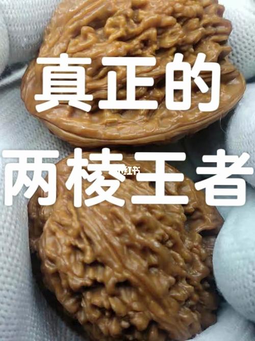 所以核桃品种里面唯一公认的评选出的果王 状元冠 ,噗嗤 还tm驴打滚