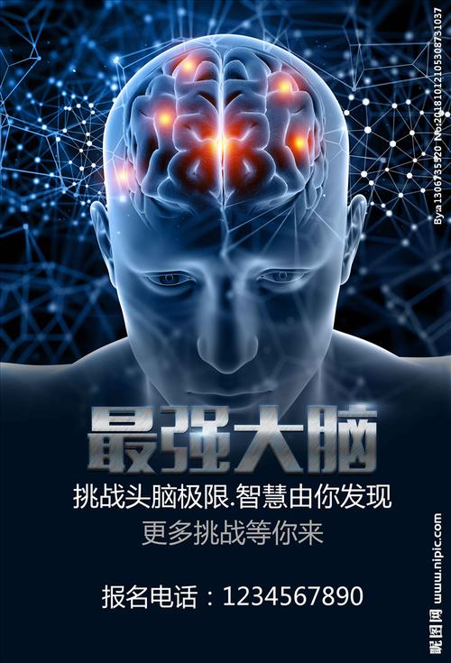 最强大脑图片