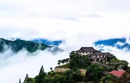 嵊州这个隐秘古村有故事有贡茶还有春日童话
