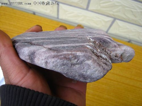 水冲木化石之沙漠残城