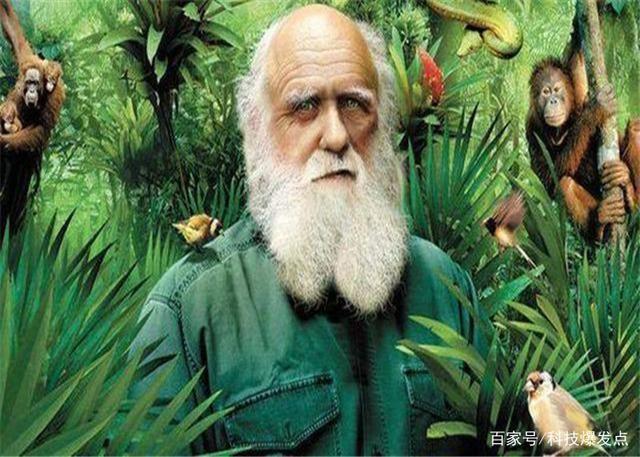 违背自然规律的生物,不进化反而退化,背后黑手是他们所致!