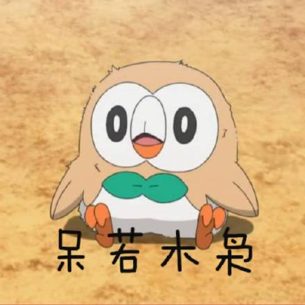 兼容性爆棚没想到你是这样的木木枭大神将精灵宝可梦历世代御三家