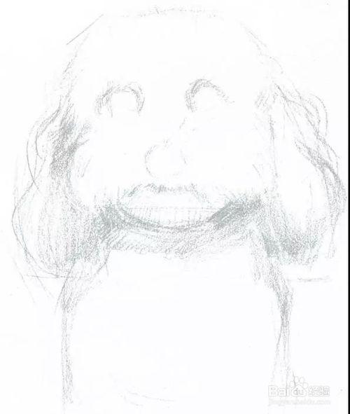 比熊犬图片简笔画图片少儿图库中国儿童资源网